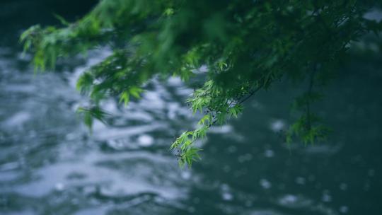 杭州西湖中式庭院唯美国风意境4k视频素材