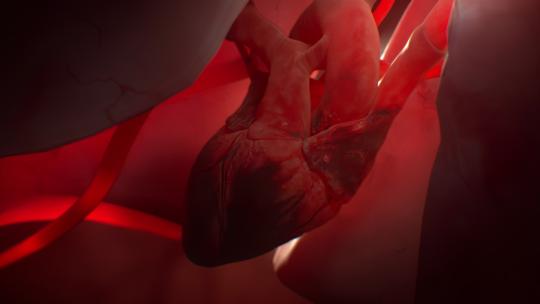 心脏跳动特效动画展示视频素材模板下载