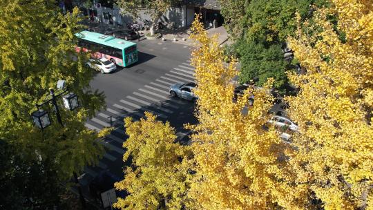 城市街景