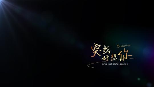 光影金色文字排版动画字幕条包装