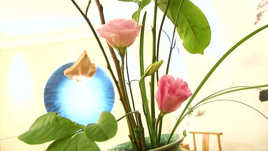 0849 插花 制作花束花瓶 花艺视频素材模板下载