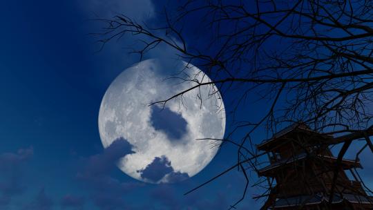 深夜月上树梢延时摄影