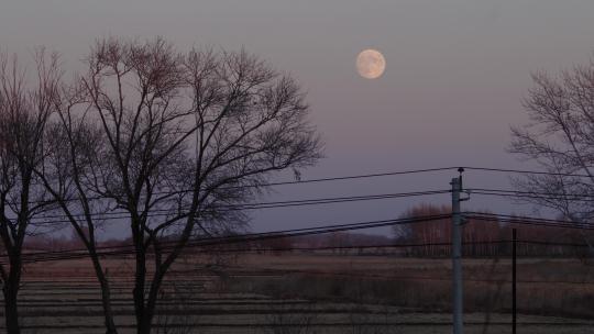 冬季傍晚东升的月亮