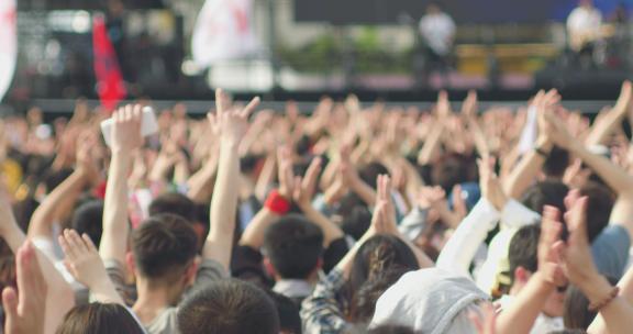 夏日户外音乐节