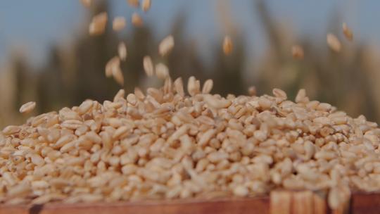 万物复苏万物生长生长