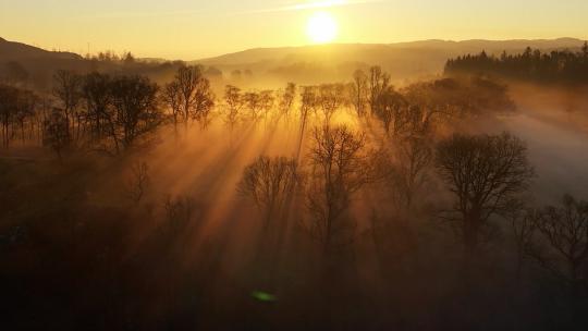 自然风光 清晨太阳光线穿过雾气树林