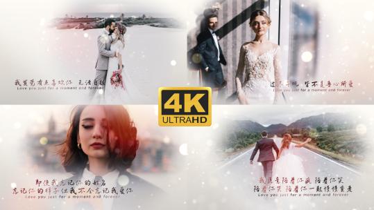 4K最美的季节 遇见最美的你-求婚MV高清AE视频素材下载