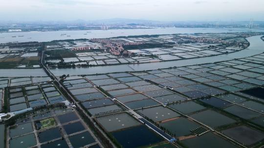 航拍广州番禺海鸥岛