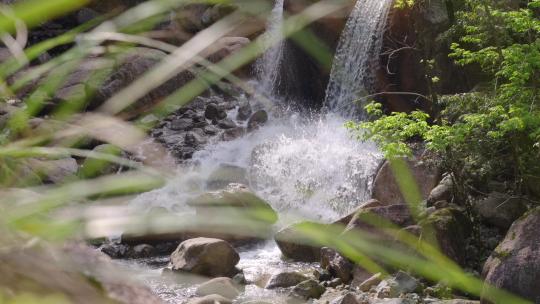 山谷溪流合集-苔鲜青苔水流