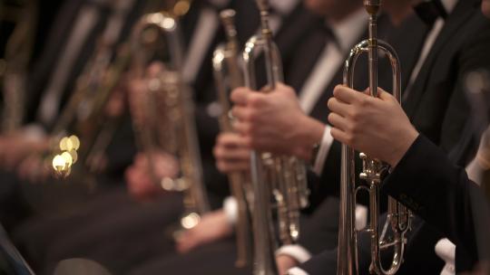 交响乐队 管弦乐队 对手 提琴 西洋乐