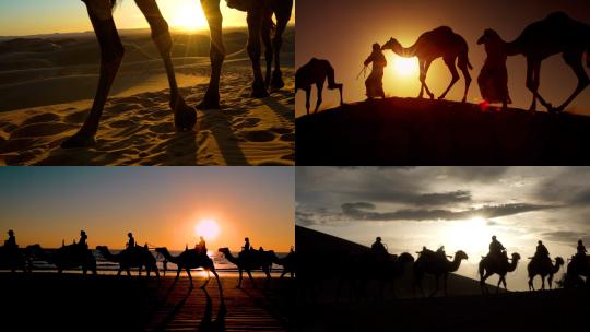 【合集】沙漠中的骆驼商队视频素材模板下载