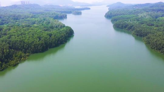 宝安铁岗水库