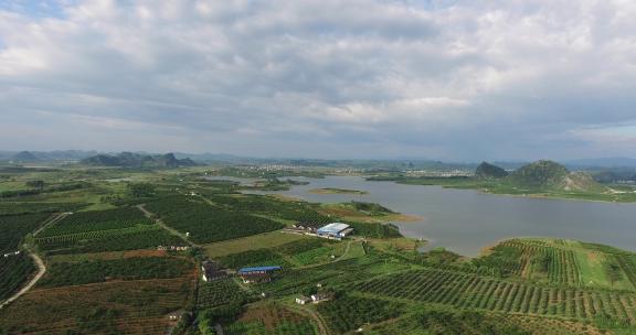 广西农业种植航拍