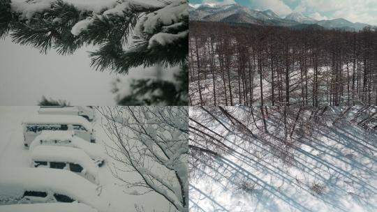 下雪天松树雪挂航拍雪景森林唯美雪景视频素材模板下载