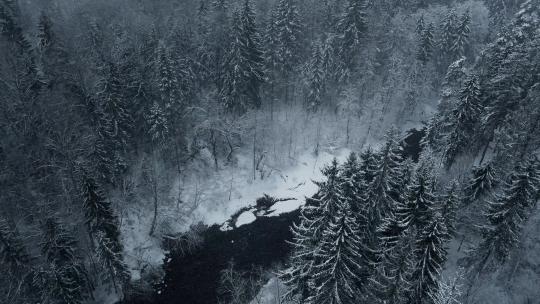 冬季森林下雪航拍