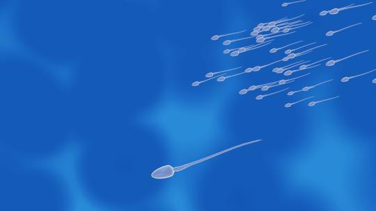 卵子和精子之间的受精前模型 3D动画4K (4)