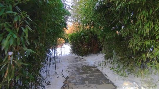 曲径通幽处的竹林小路雪后美景