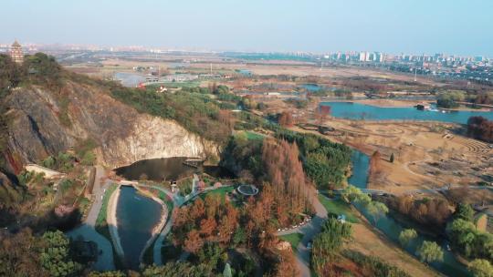 上海松江辰山植物园矿坑植物景观