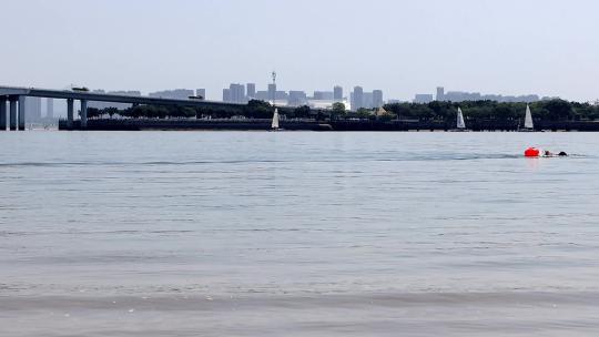 五缘湾内夏天中午游泳的人和帆船高清