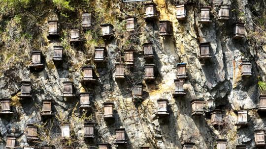 航拍湖北旅游神农架景区蜂箱蜂巢视频素材模板下载