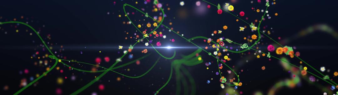 8K 鲜花粒子开场