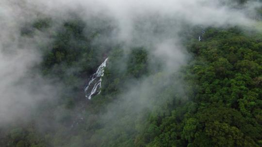 空中视差穿过隐藏在茂密雨林中的瀑布雾