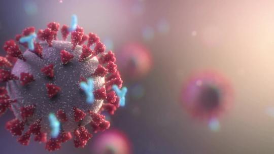 疫苗抗体攻击摧毁冠状病毒1视频素材模板下载