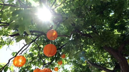 夏天绿色唯美小清新树木树叶逆光小桥流水高清在线视频素材下载