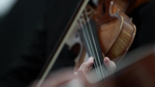 专业交响乐团在舞台上表演