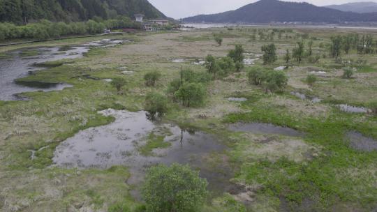 2023.04.03 腾冲北海湿地日出 云雾 仙境航拍4k_0276