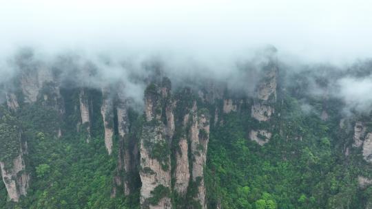 航拍张家界峰林地貌-山川云雾云海-大好河山