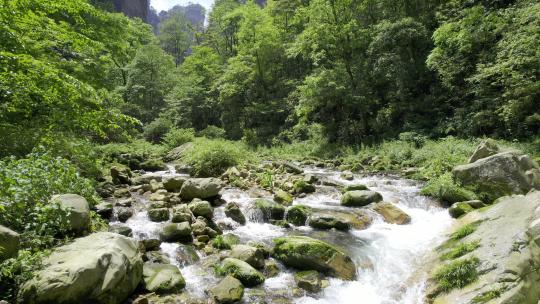 森林溪流-自然生态-山青水秀