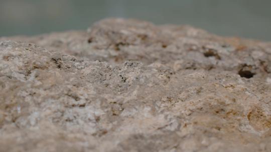 方解石碳酸岩稀土矿矿石