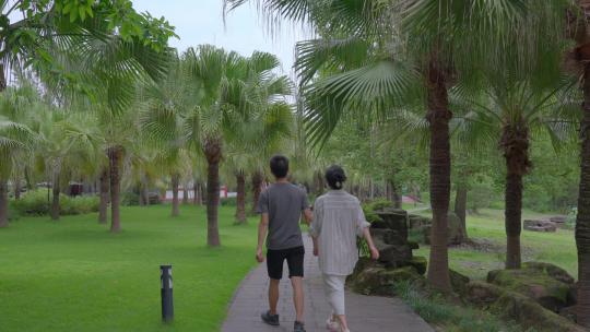 情侣牵手在棕榈树下散步背影