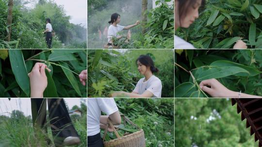 端午少女摘粽叶手工制作粽子国风传统文化高清在线视频素材下载