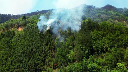 山火森林火灾航拍视频素材模板下载