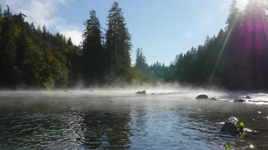 自然风光 河面薄雾森林阳光照射鱼儿游泳