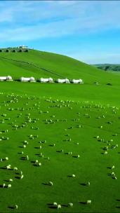 竖版-俯拍草原上的羊群