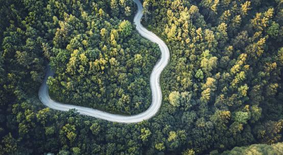 丁达尔阳光树林森林公路自然风景