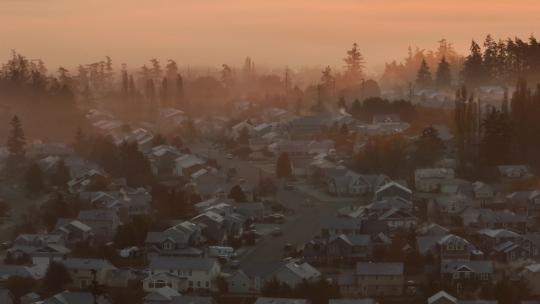 清晨被雾包围的密集社区的鸟瞰图