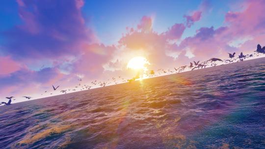 唯美大海清晨日出和海鸥群飞舞