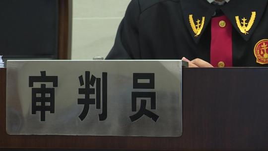 法院法庭审判长法官被告原告法 警示教育