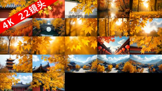 【枫树叶合集】金色秋天黄叶森林树林中国高清在线视频素材下载