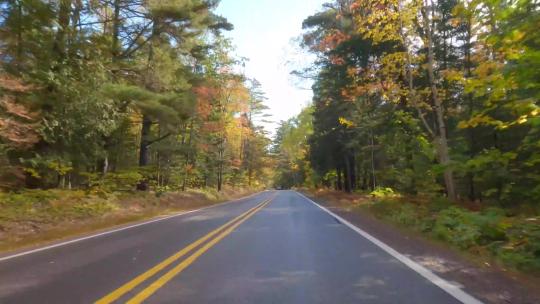汽车行驶在秋季森林公路上旅行POV第一视角