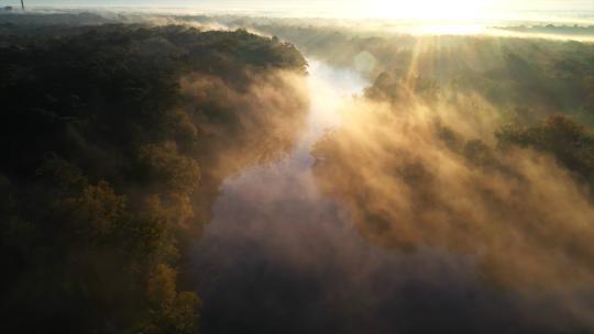 清晨绿色森林河流河面雾气森林光影唯美风景