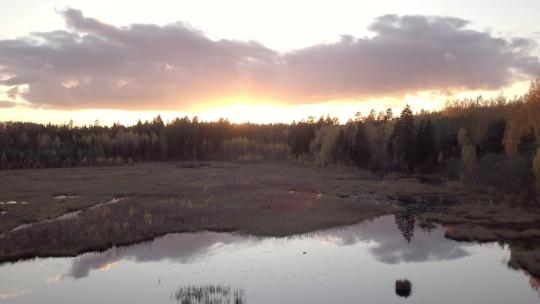 夕阳下森林的美景视频素材模板下载