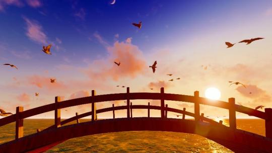 夕阳大海拱桥码头海鸥飞翔和谐大自然