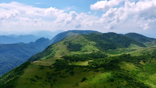 陕西汉中秦岭紫柏山高山草甸