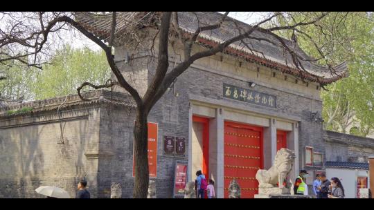西安城市印迹-碑林博物馆