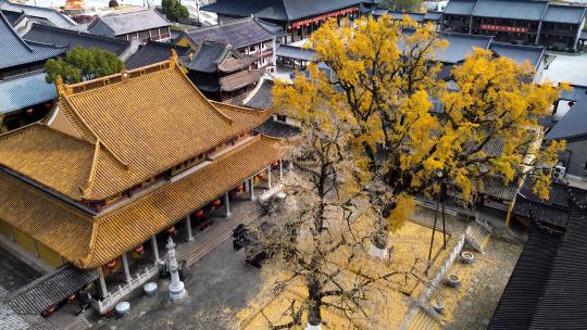 宁波奉化溪口雪窦寺金秋银杏风光航拍合集